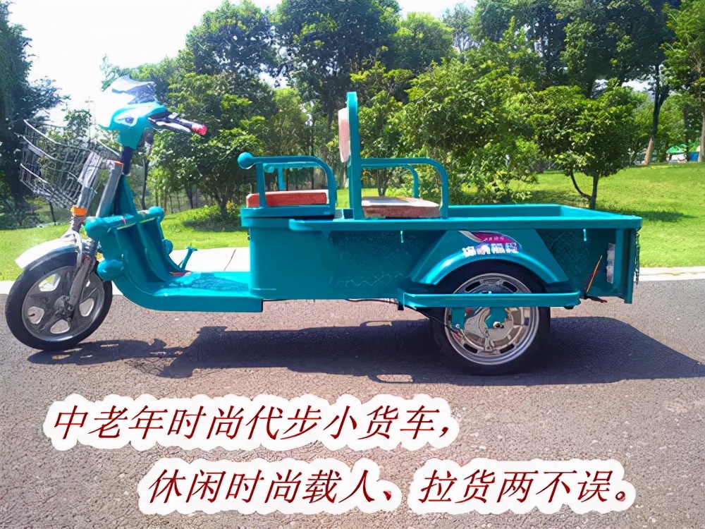 上牌照需要多少钱（电动车）