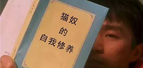 养猫一个月多少钱（养猫一年要花多少钱）