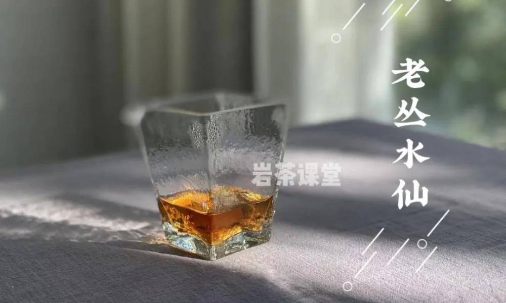 大紅袍茶葉多少錢一斤（無論水仙）