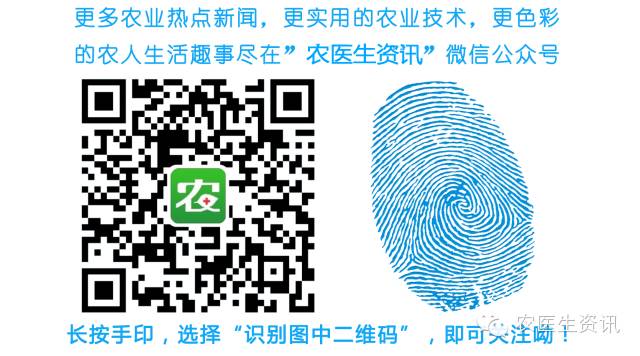 玉米多少钱一斤（下跌之后）