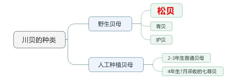 川貝價格多少錢一斤（川貝母多少錢一克）
