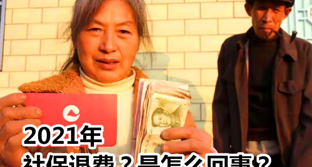 退保险能退回多少钱（2021年社保退费开始了）