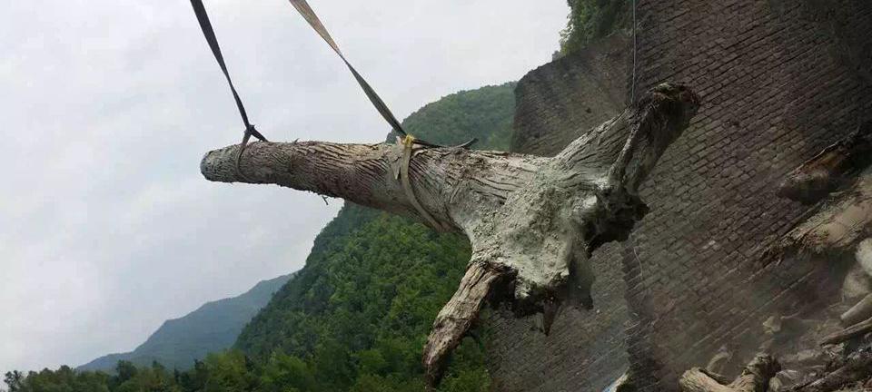 乌木价格多少钱一斤（农民河道挖出的乌木曾价值千万）