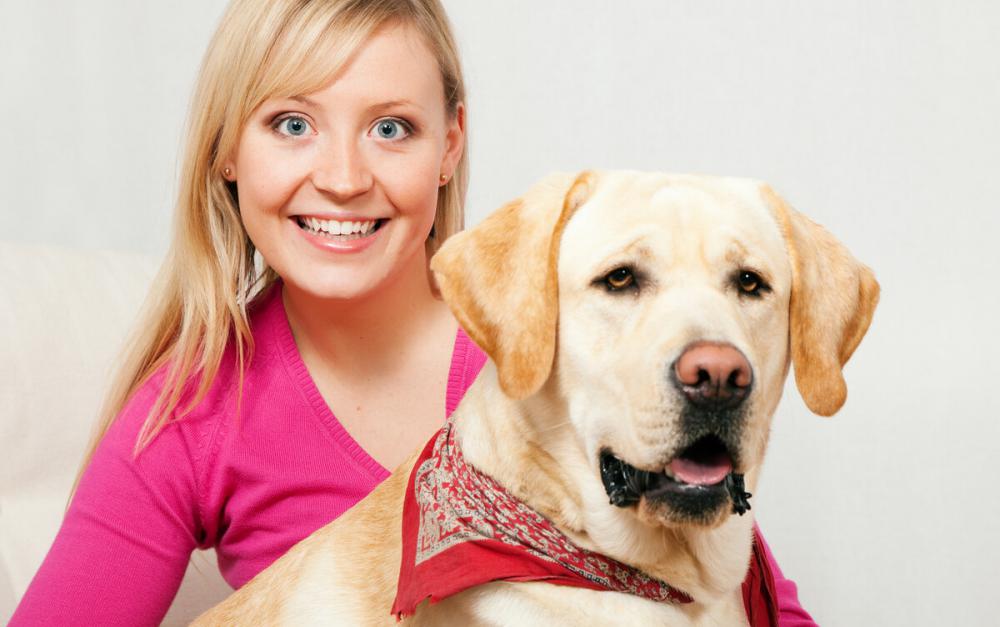 拉布拉多犬多少钱一只（养拉布拉多犬）