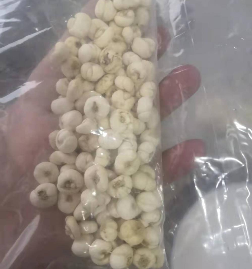 川贝母多少钱一斤（川贝煮梨治咳嗽）