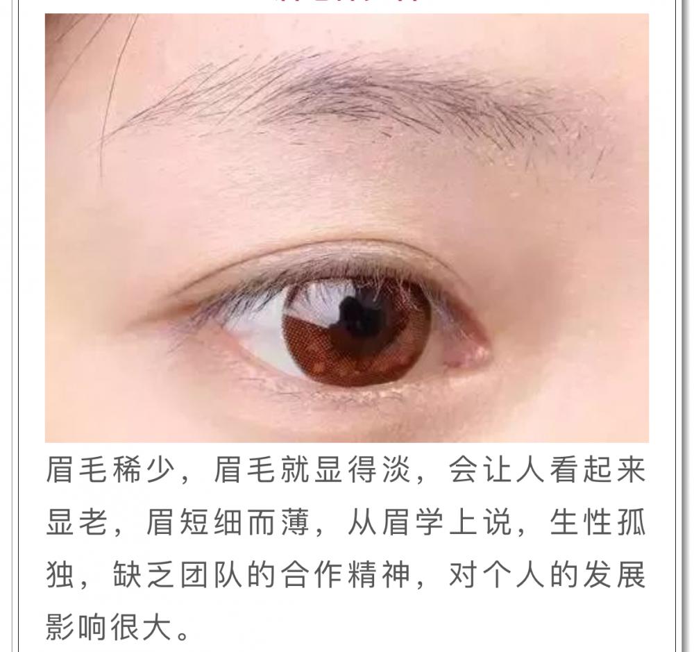 种眉毛要多少钱（男人看鼻）