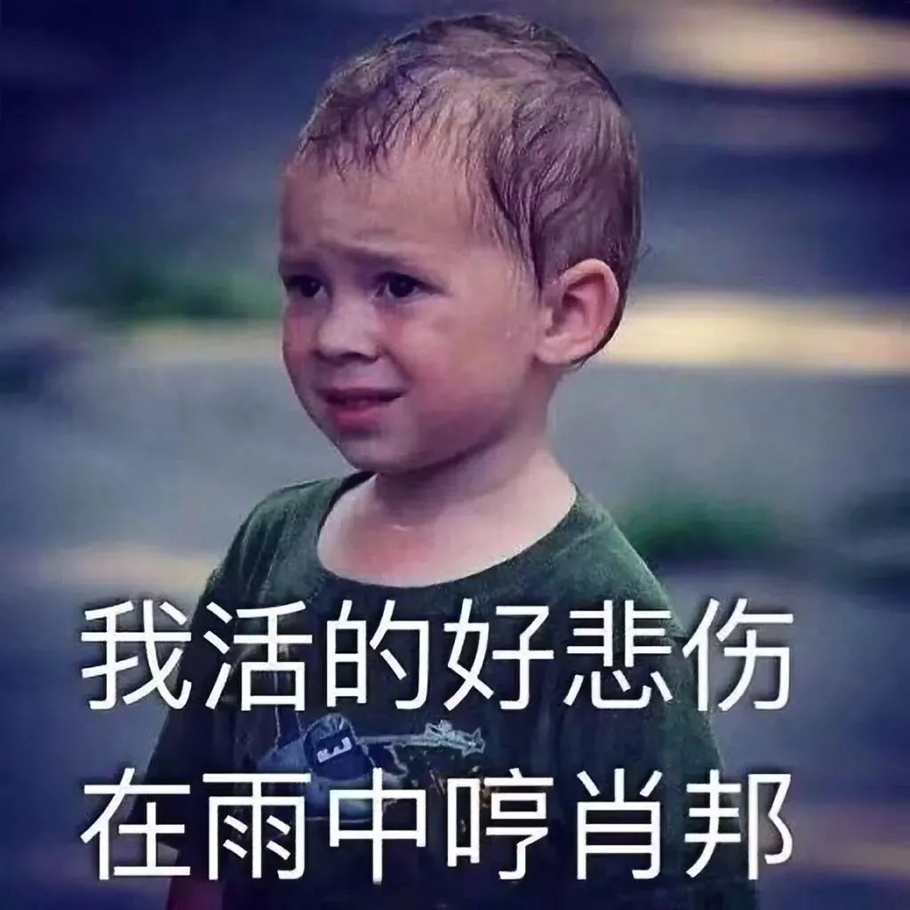 七葉神安滴丸36丸多少錢一盒（店慶大促）