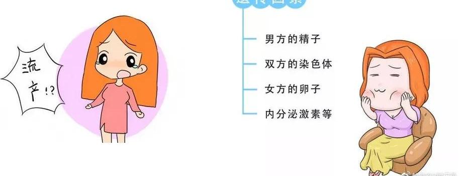 夫妻双方做染色体检查多少钱（妊娠失败的男性因素有哪些）
