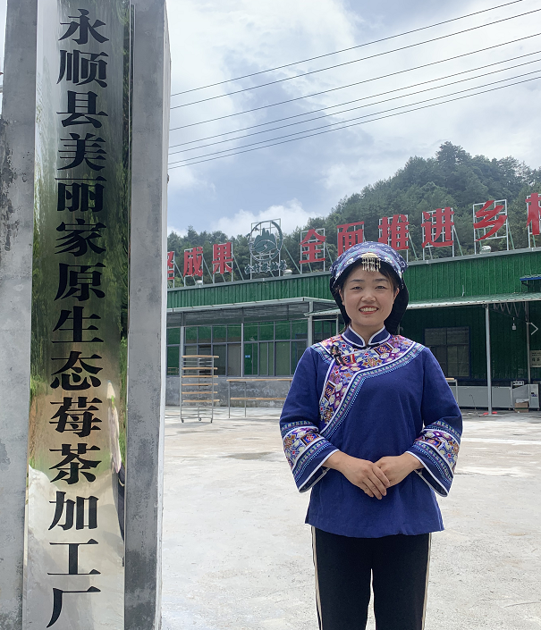 茅岩莓茶多少钱一斤（注意）