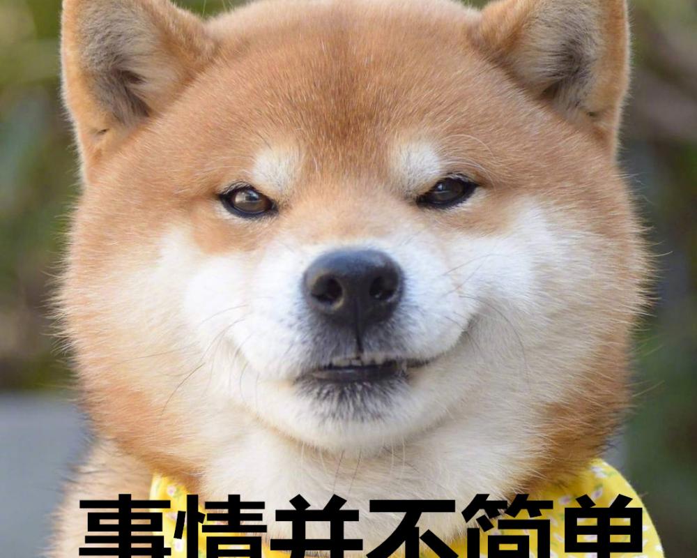 拉布拉多幼犬价格多少钱一只（目前火爆的几种狗）