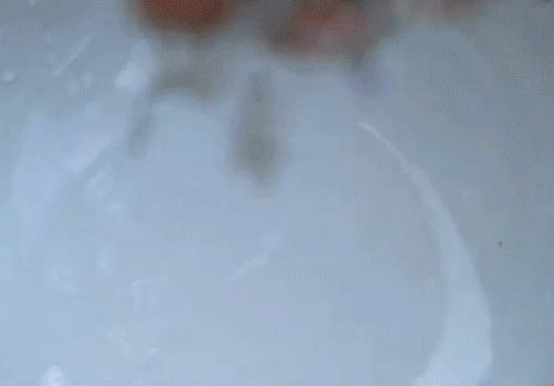 茅岩莓茶多少钱一斤（注意）