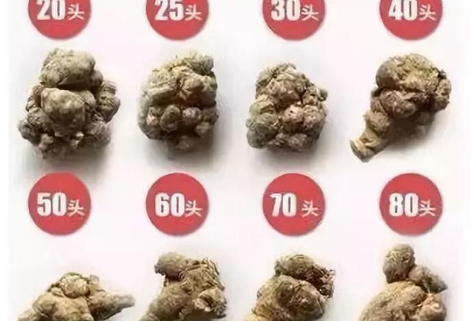 三七粉一斤多少钱（请广而告之）