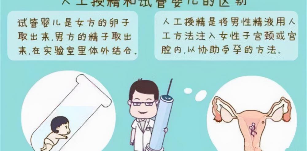 人工受孕费用大概要多少钱（提醒）