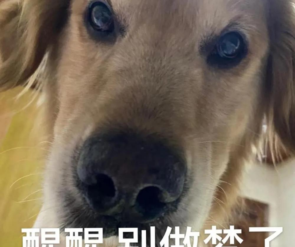 失业保险金每月多少钱（2124元）