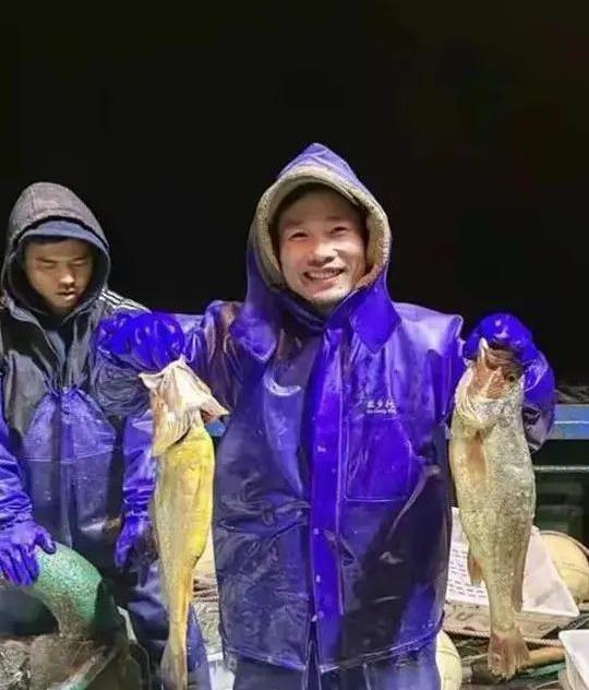 黄花鱼多少钱一斤（一网就捞957万元）