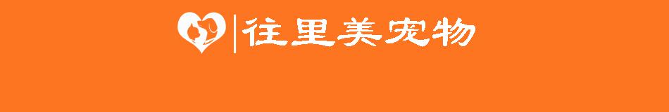 导盲犬多少钱一只（培育一只导盲犬需要花费15万）
