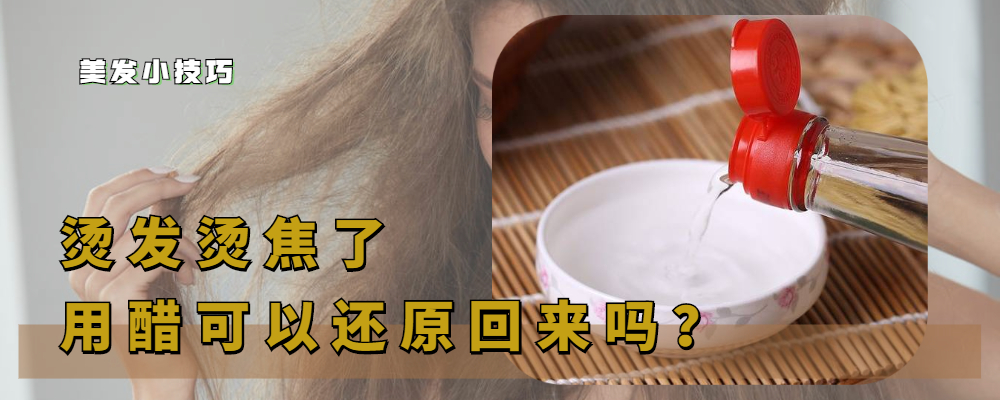 软化头发多少钱（头发烫焦了可以用）