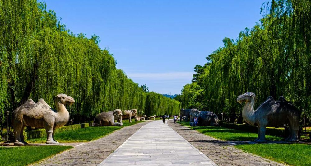 十三陵门票多少钱（北京明十三陵哪些开放）