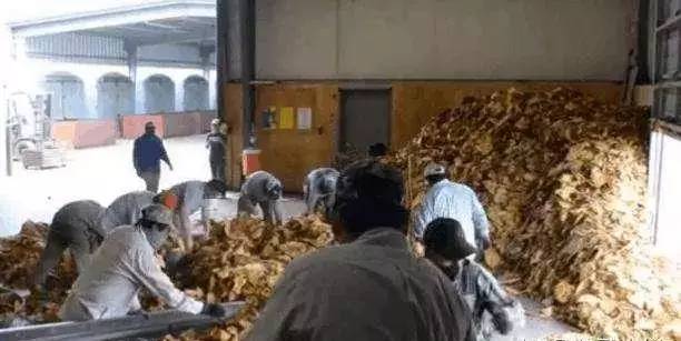 华叶烟多少钱一包（65元一包的中华香烟）