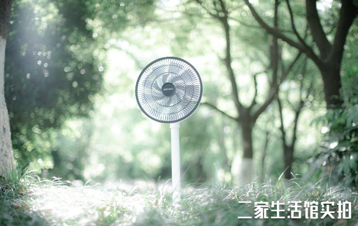 七葉神安滴丸36丸多少錢一盒（店慶大促）