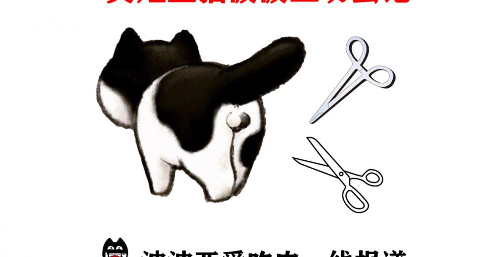貓咪絕育一般多少錢（從2000到499）