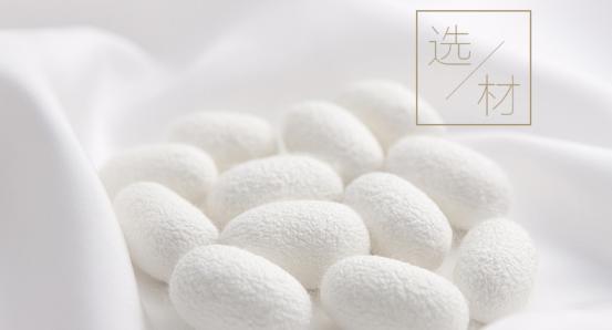 真正的蚕丝被多少钱（蚕丝被品牌排行榜前十名）