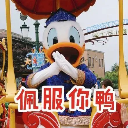 七葉神安滴丸36丸多少錢一盒（店慶大促）