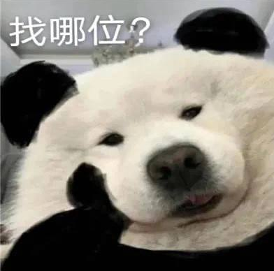 巨型貴賓犬多少錢一只（據(jù)說這幾種狗有些）