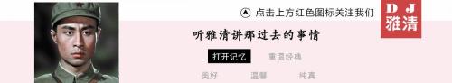细支金陵十二钗多少钱（安雯和李勇勇）