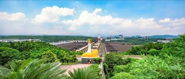 黄鹤楼亚马逊多少钱(在长江)