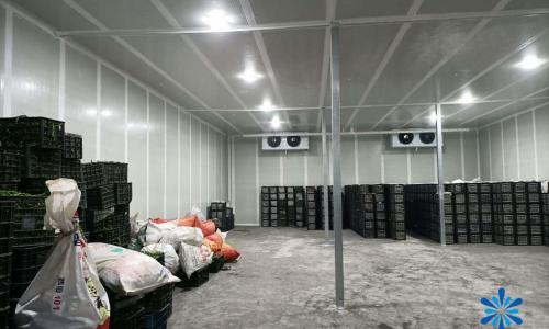 建造一个冷库要多少钱（在农村建一个冷库到底能赚多少钱）