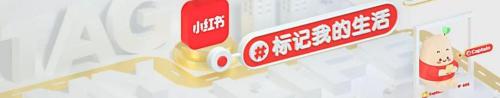 tf口红多少钱一支（没有一支TF）