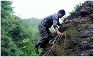 霍山铁皮石斛多少钱一斤（它是）