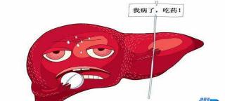 复方鳖甲软肝片多少钱一盒（小康说药）