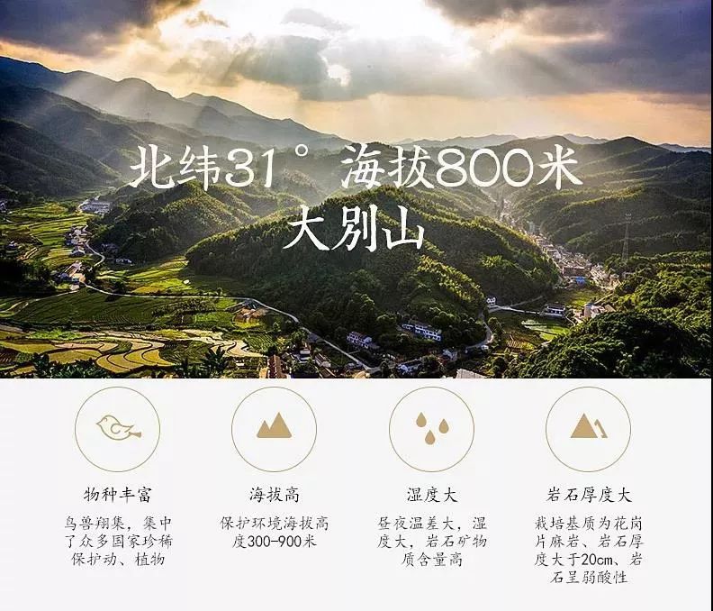 霍山铁皮石斛多少钱一斤（它是）
