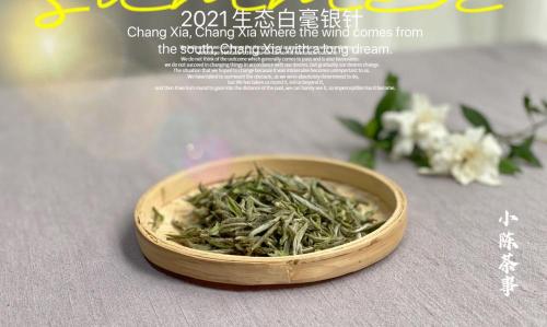 开一个茶叶店大概投资多少钱（5克）