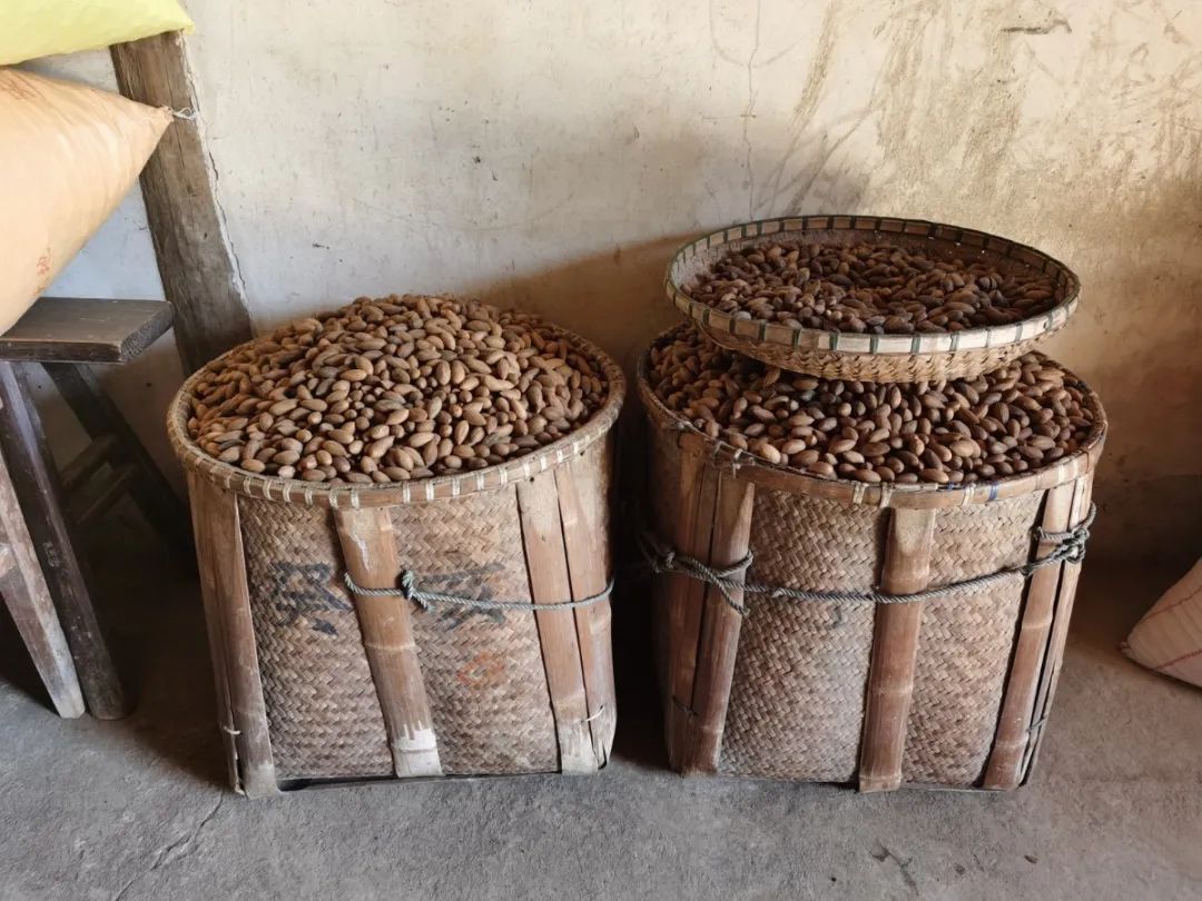 香榧多少钱一斤（质量不好我宁可不卖）