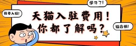 买天猫店铺需要多少钱（天猫入驻策略）