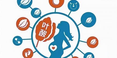 爱乐维叶酸多少钱一盒（孕妇需要吃叶酸吗）