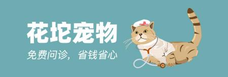 托運寵物大概多少錢（新年寵物托運保姆級指南）