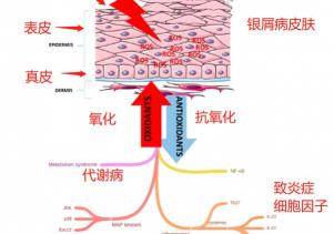 生物制剂多少钱一针（银屑病）