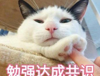 無毛貓多少錢（買貓容易養貓難）