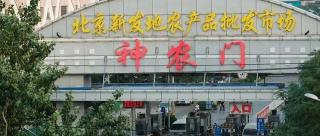 三文鱼多少钱一斤（三文鱼为啥那么贵）