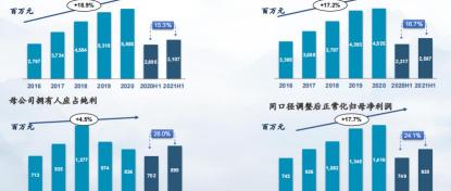 米诺地尔酊多少钱一盒（三生制药）