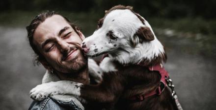 蝴蝶犬多少钱一只（最）