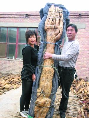三沙细支烟多少钱一包（烟草常见）