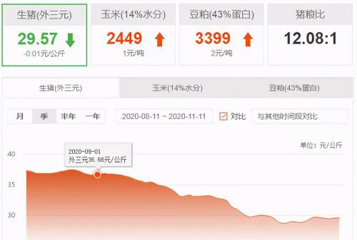 豬肉一斤多少錢（豬價）