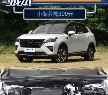 10万的车子保养一次多少钱（小保养成本309元）