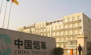 软和天下多少钱一包（中国最不缺钱）
