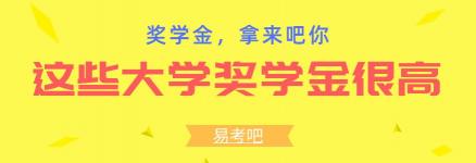 大学奖学金一般多少钱（这些大学奖学金都很高）